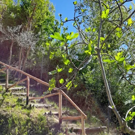 Il Castellare